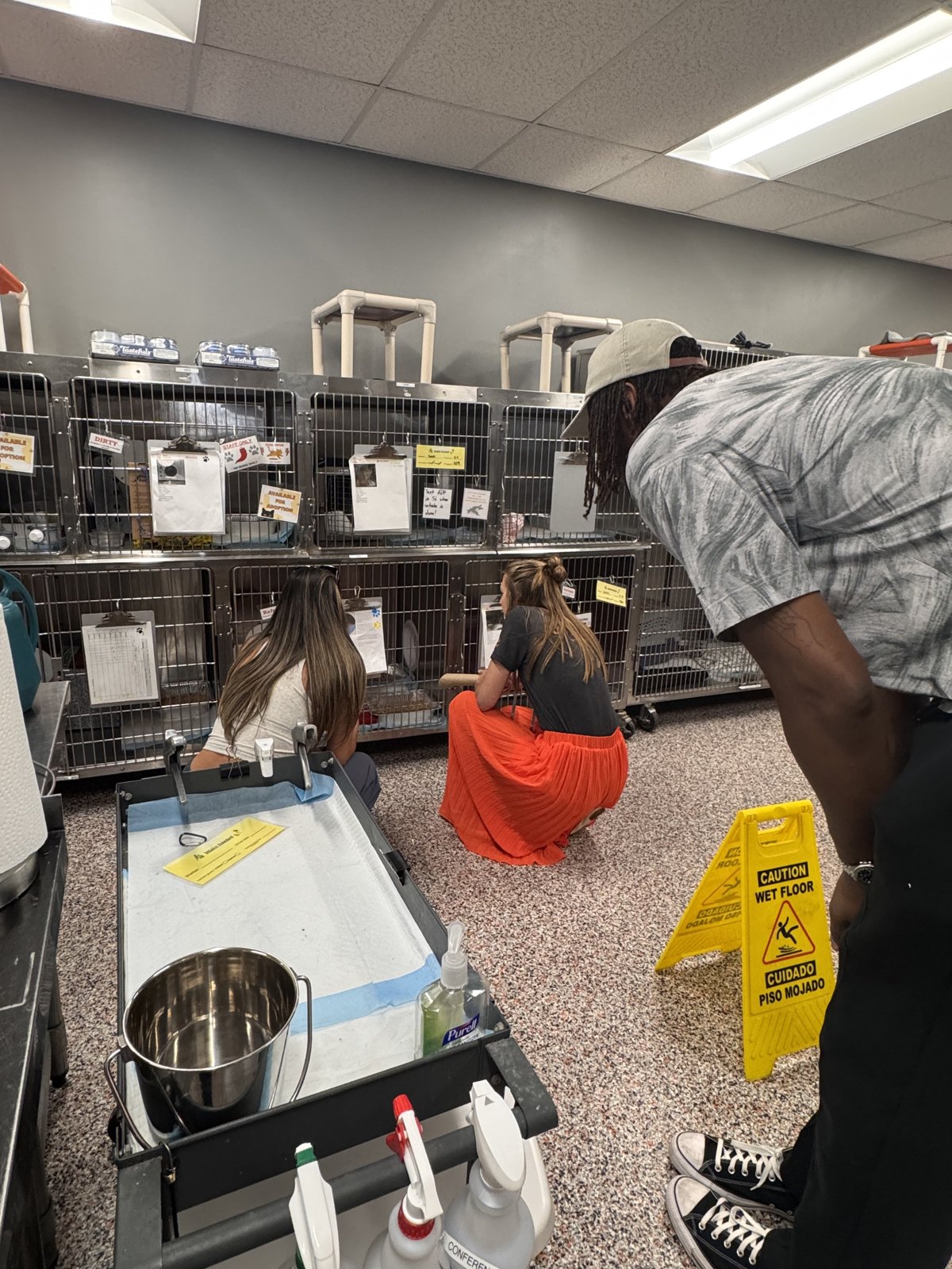 Your local shelter could probably use a hand