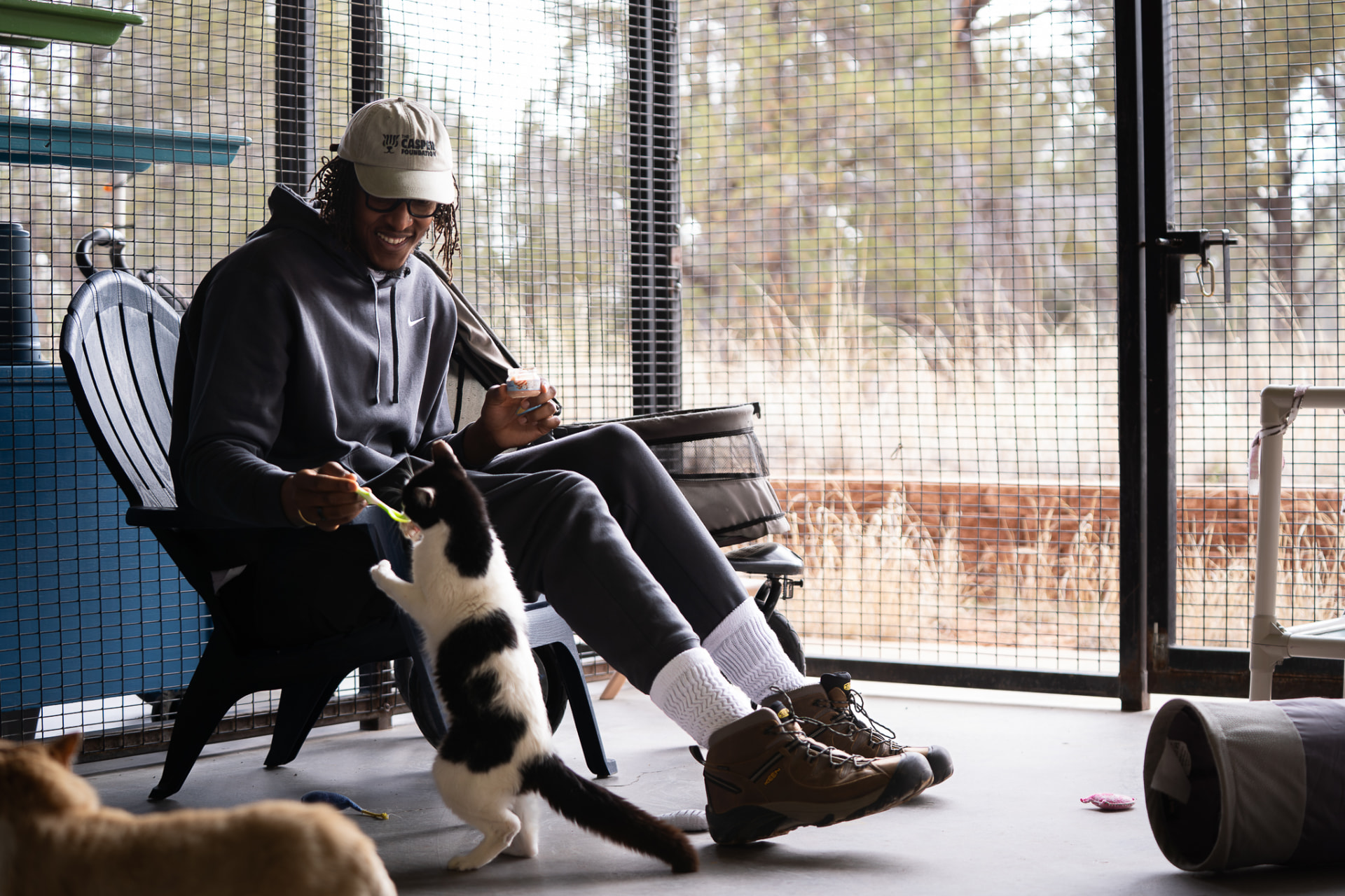Myles playing with a cat in a sanctuary catio